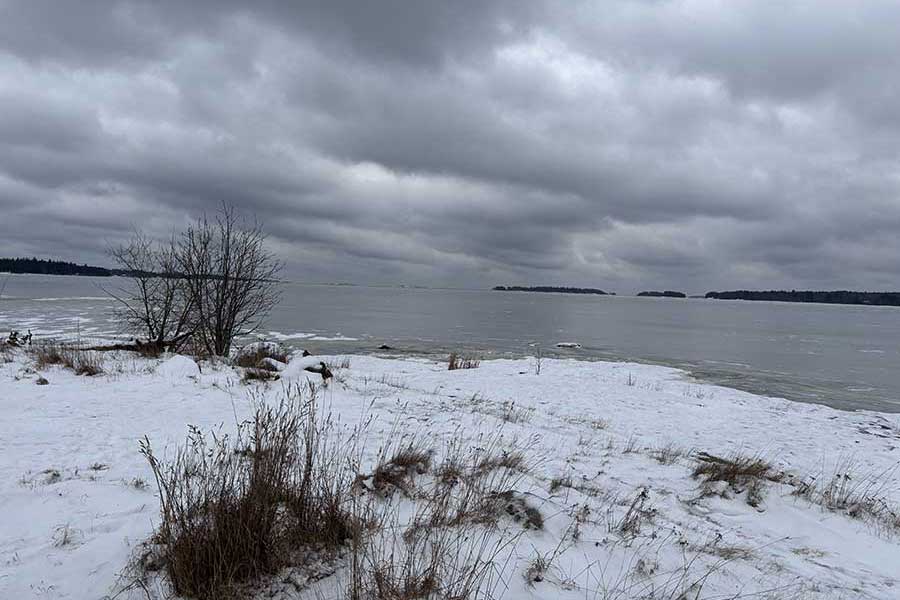 Snow-covered shoreline under cloudy sky symbolizing long-term business strategy and future planning.